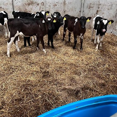 Lacken Farmyard Kilmihil Екстериор снимка