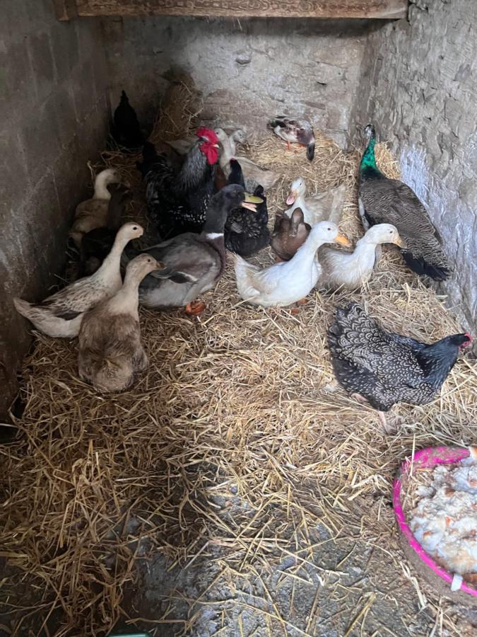 Lacken Farmyard Kilmihil Екстериор снимка